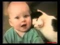 los gatos, pero no carina jelinek