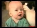 los gatos, pero no carina jelinek