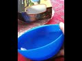 Squishy Bowls Demo