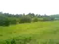 the maize maze part 1
