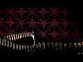 videos de Wonderland In the Wall