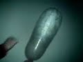 condom breaks condom breaks
