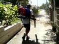 New  Innovative Backpack BlowerTwindStorm Dooly