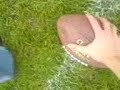 Touchdown