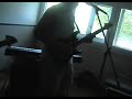 fuego eterno instrumental