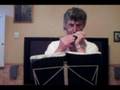 zorba le grec à l'harmonica chromatique