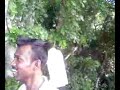 Yelagiri  hills