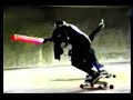 The Offspring -  Street Luge - All I Want