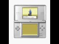 Winintendo DS Clasic Pokemon Platino