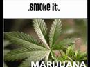 Rolling a zoot to peter toshs' 