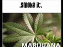 Rolling a zoot to peter toshs' "Legalize it"