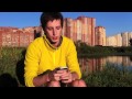 Мне нравится Отпуск