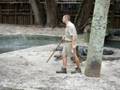 Alligator Farm Video - "alligator farm"