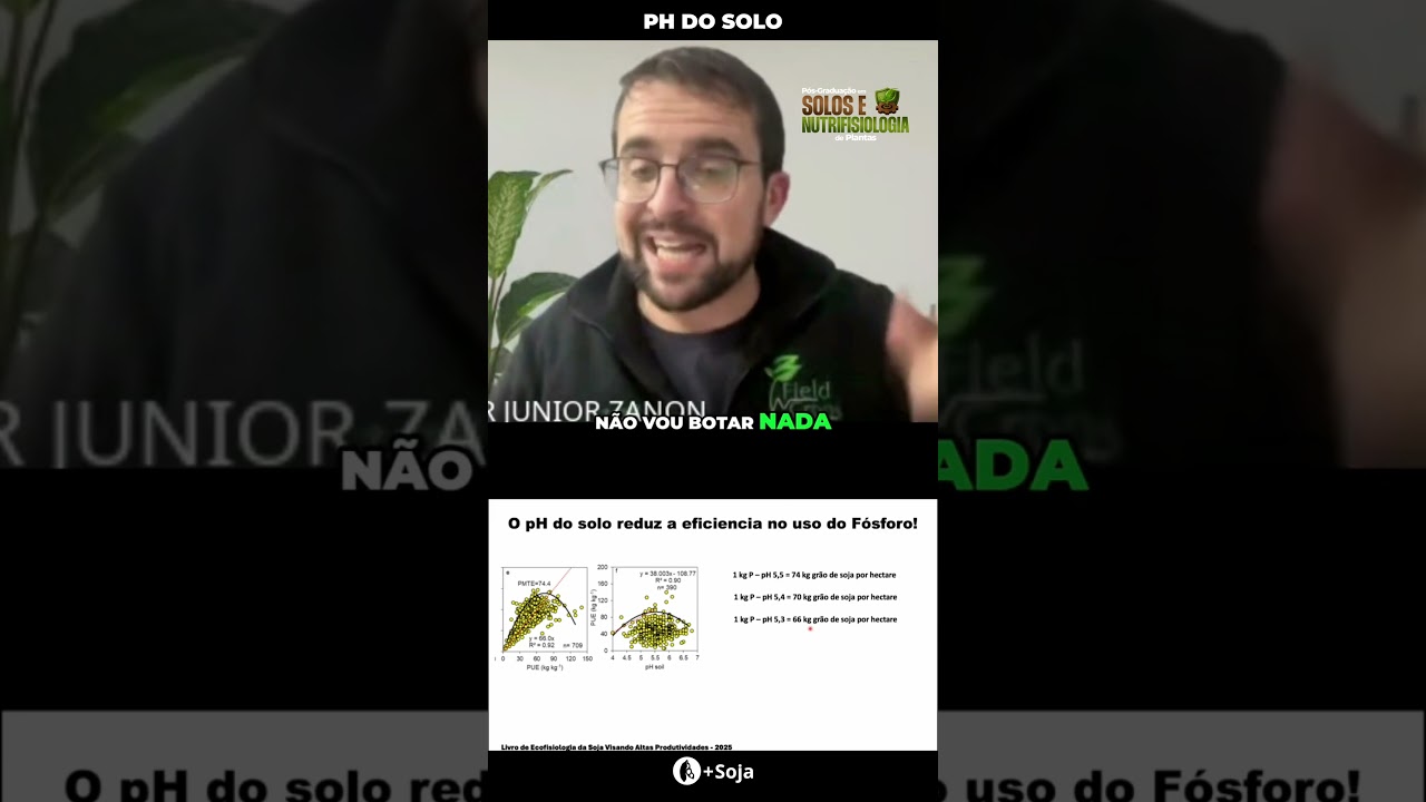 A importância do pH do solo #agro #maissoja #agricultura