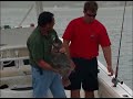 Montauk Fluke Montauk Fluke