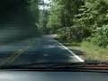 WNC Roads #5 - Hwy 151 (Long)