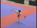 WAKO Deutschland Pokal 2008