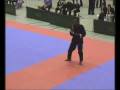 WAKO Deutschland Pokal 2008
