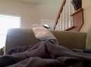 Cal playing