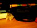 videos de Hamster roborowski