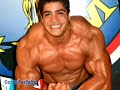 treino musculação bruno neto   fisiculturimo