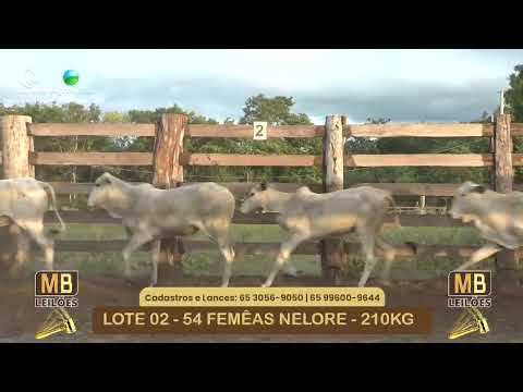 532� LEIL�O VIRTUAL MB LEIL�ES