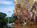 Arquivologia Rio 2008