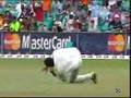 Bajji dance after pointing wicket