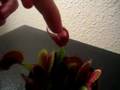 YouTube - Venus Fly Trap