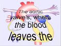 Pumps Your Blood