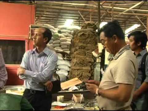 សម្ព័នសហគមន៍ SME កម្ពុជា និង Mekong Oryza | 02