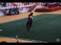 ACG+8thWG Wushu Mix (Jay Chou)