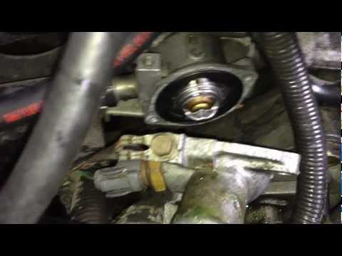 Replacing a Thermostat – Acura Integra