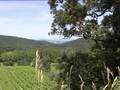 videos de Forêt créative, la Valbonne