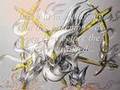 Ω Arceus Ω