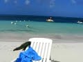 Cuba Beach Guardalavaca Cuba Beach Guardalavaca