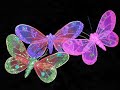 el buscador