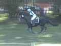 et hop le ti poney y fait du cross country....