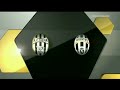 Serie A: AC Siena - Juventus 0-1 Amauri  25.10.2009