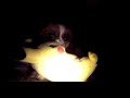 Give me back my PIKACHU!!!