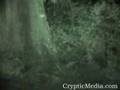 Ghosts Filmed At Myrtles Mansion In Louisiana