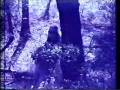 videos de Where Birds Gather