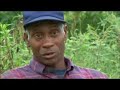 Witness - Forty Acres and a Dream - Part 1 Witness - Forty Acres and a Dream - Part 1