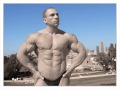 amit sapir bodybuilder (pic project)