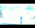 wendybird making off