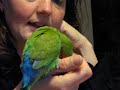Scratch my head
