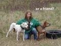 Anti BSL video