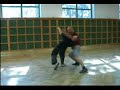 Aikijutsu (hungary)