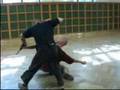 Aikijutsu (hungary)