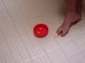 toe job